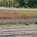 온달농장 이미지