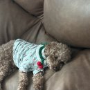 대실유치원 앞 이미지