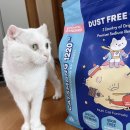 호기심 고양이 공작소 | [펫몽공작소]고양이벤토나이트 천사모래 캣츠몽1220