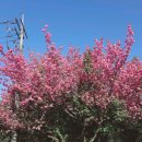 삼사목장 이미지