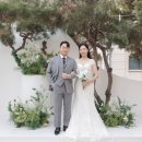 소나무하우스 | 메리드하우스 야외 소나무배경 촬영후기