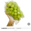 14브릭 당도선별 경북 고당도 샤인머스켓 1kg 15,900원 이미지