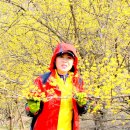 계척시목지 이미지