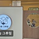 솜솜 애견미용 이미지