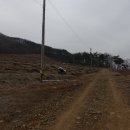 석구농장 Daum카페