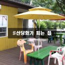 산당화가피는집
