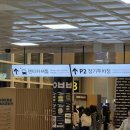 제주 할리데이 | [제주/제주시] 제주도렌터카 “SK렌터카” 내돈내산 재이용 후기