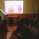 풀꽃유치원 이미지