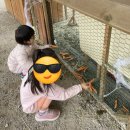 말순농장 | 완주 말순 농장, 말도 보고 승마도 체험할 수 있어요
