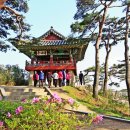 고성군 8 이미지