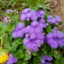 카페 서로서로 이미지