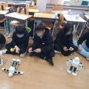 남원교룡초등학교 이미지