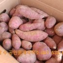 도연마트