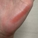 몬스터피그 | 케이트 립몬스터 3호 히트 헤이즈 5호 다크 피그 발색 비교 지속력 내돈내산 솔직 후기