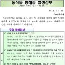 농촌진흥청발표-병해충발생정보 제15호 (2013.12.01~12.31) 이미지