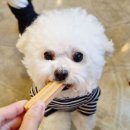 신진덴탈 이미지