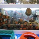 관양2동노외 이미지