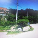 서울35분 국수역옆 럭셔리한고급전원주택지기초석축및토목완료"대지"시세75%파격긴급매매 이미지