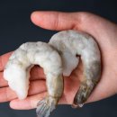 유호정축산 이미지