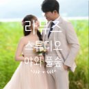 나무한그루 | S-15)라뮤즈 스튜디오 야외 나무 한그루 근처 풀숲 촬영후기