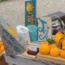 신영농장 이미지