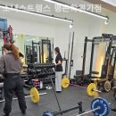 소녀스트렝스 이미지