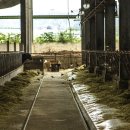 두레목장 이미지