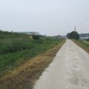 왕북초등학교 이미지