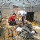 박경순농장 이미지