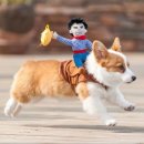 인스타 쇼핑하우