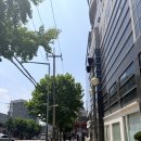 보그헤어소새울역점 | 상수역미용실 매직스트레이트 보그헤어 상수역점 후기, 부스스한 중단발이 차분하게!