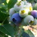 몽실농장 이미지