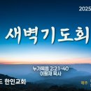 2025년 2월 12일(수) 누가복음 2: 21-40 이필재 목사 이미지