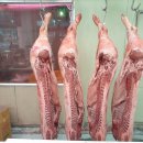 창대축산 이미지