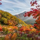 도동 낚시터 | 경상도 단풍명소2