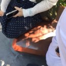 정스카 | ユニバ