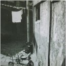 탐라대학교 | 북리뷰 1 : 그 때를 기억하나요, 공지영 장편소설 &#39;봉순이 언니&#39;
