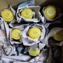 미도농장 이미지