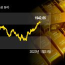 경보 골드 이미지
