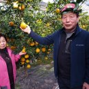 최영자농장 이미지