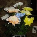 김성수농장 이미지