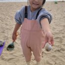 동막오락실 | 강화 당일치기 여행코스 동막해변 강화도 아이와가볼만한곳 물때,주차,준비물,일몰명소 등 정보가득