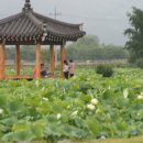 조남농장 이미지