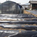 금가면사무소 이미지