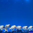 82 | 82major 비범 콘서트 후기