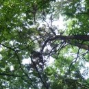 별과달민박 이미지