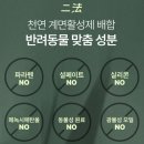 견묘당 | 견묘당 맑은 쑥 보습 샴푸 체험단 후기 :-)