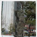 등나무근린공원 이미지