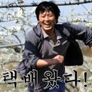 행복한 냥이네 이미지