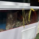 통영성인나이트(통영나이트) 이미지